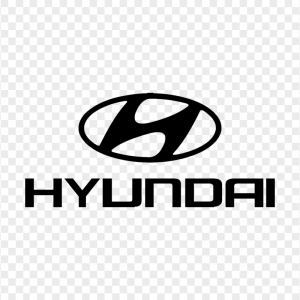 Hyundai Repair & Service